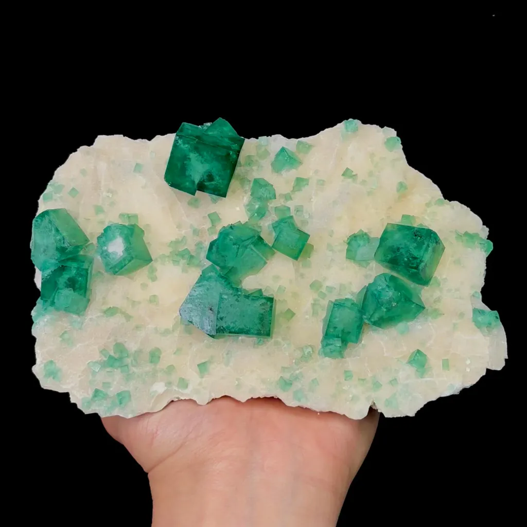 specimen video