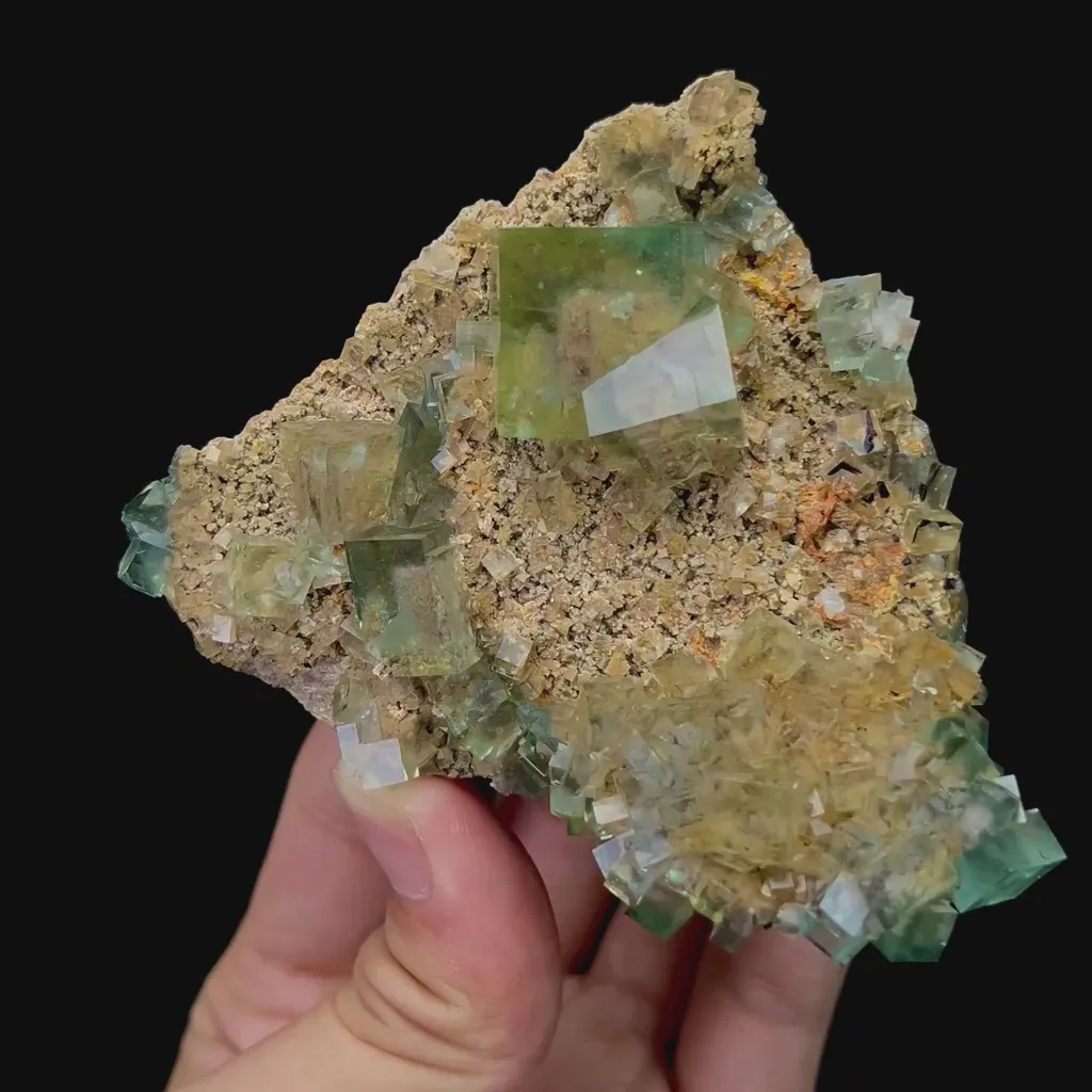 specimen video