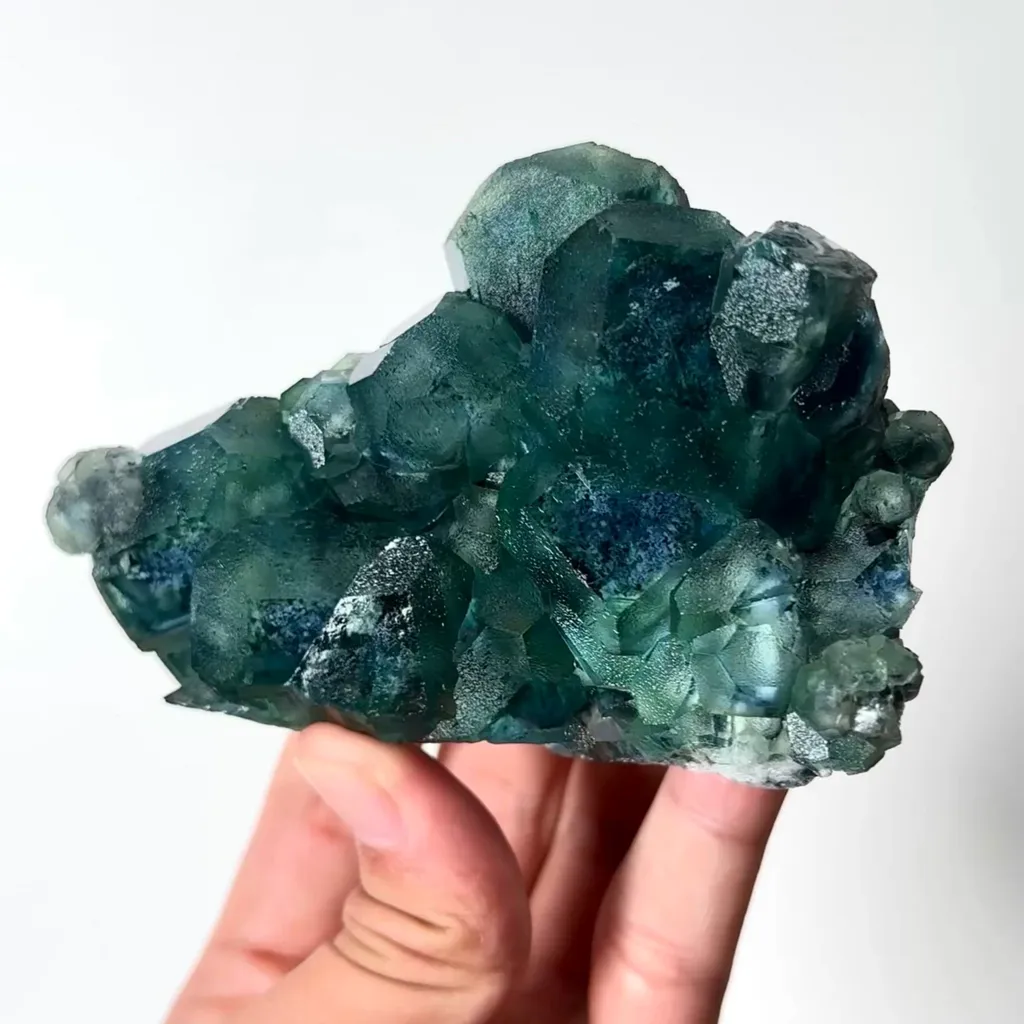 specimen video