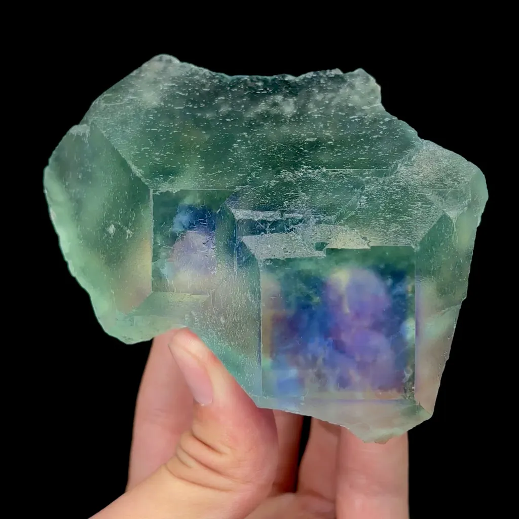 specimen video