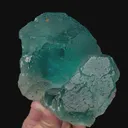specimen video
