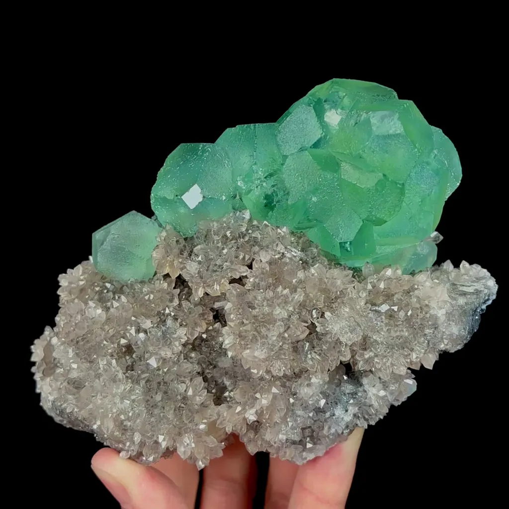 specimen video