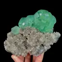 specimen video