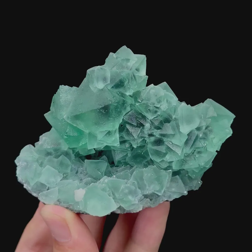 specimen video