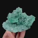specimen video