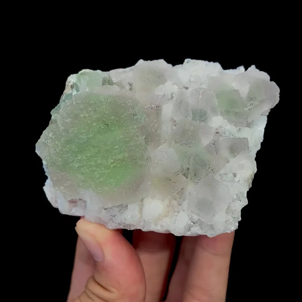 specimen video