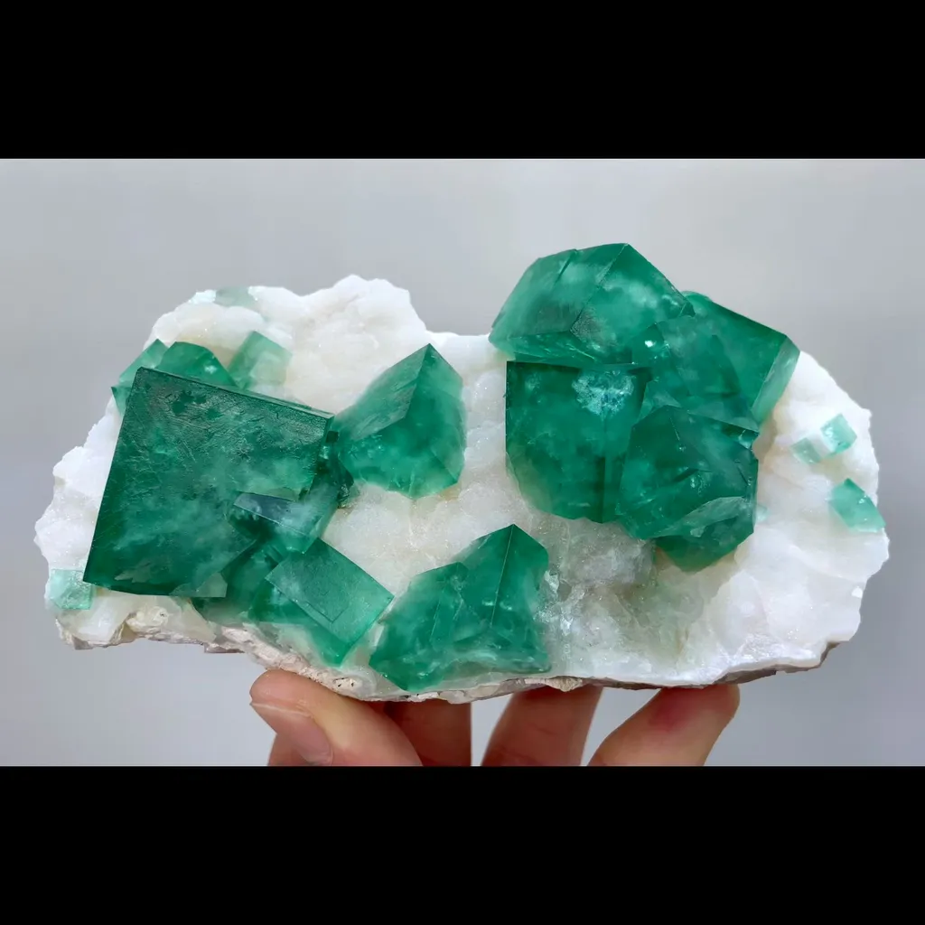 specimen video