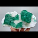 specimen video