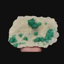 specimen video