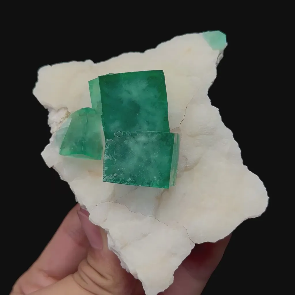 specimen video