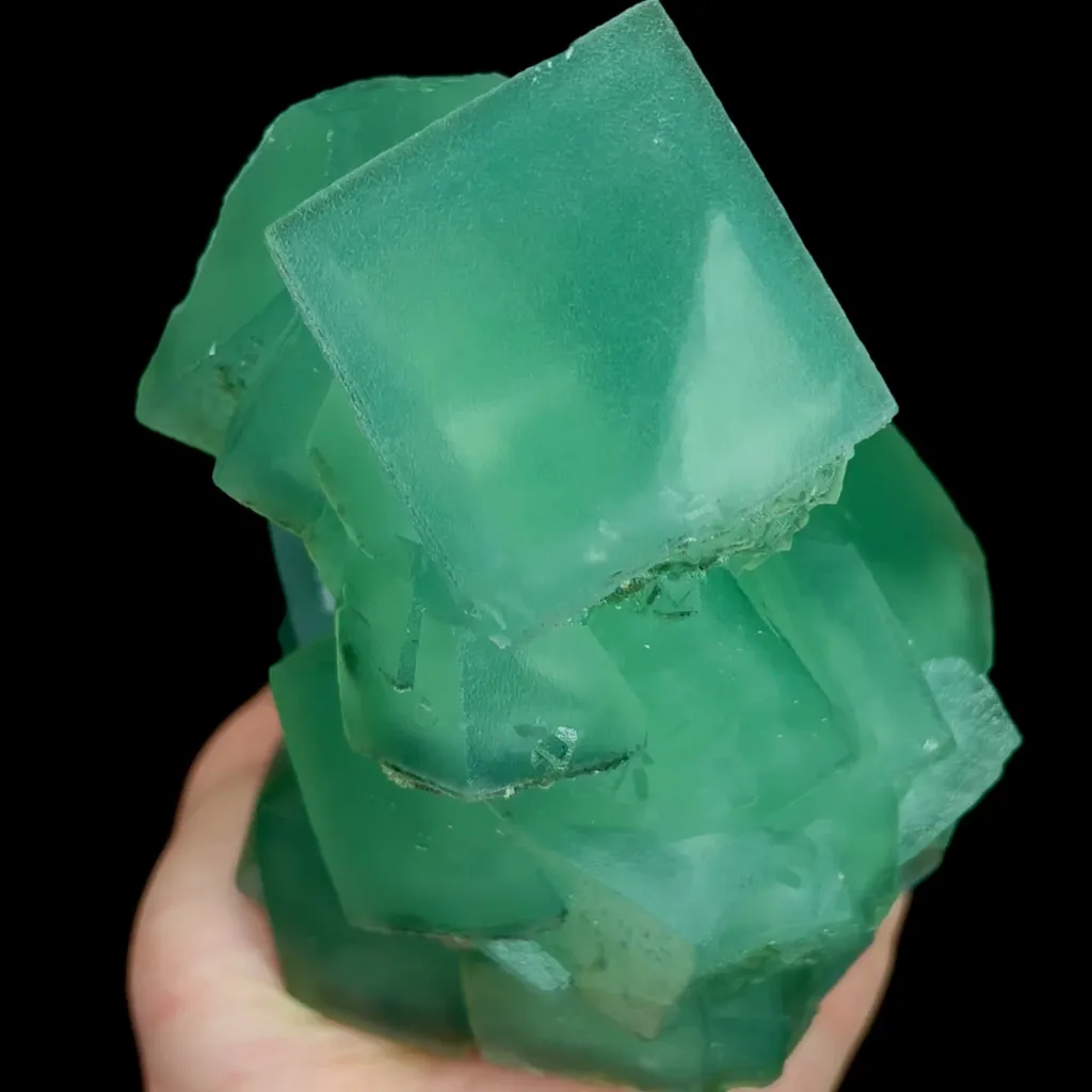 specimen video