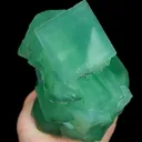 specimen video