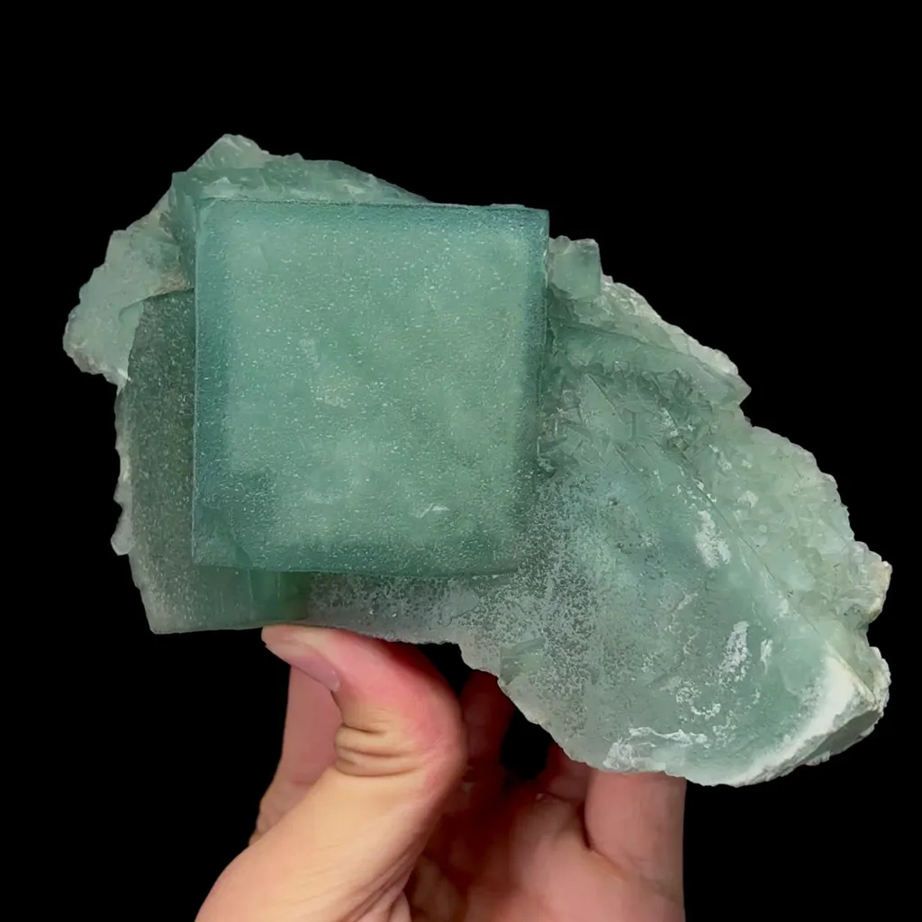 specimen video