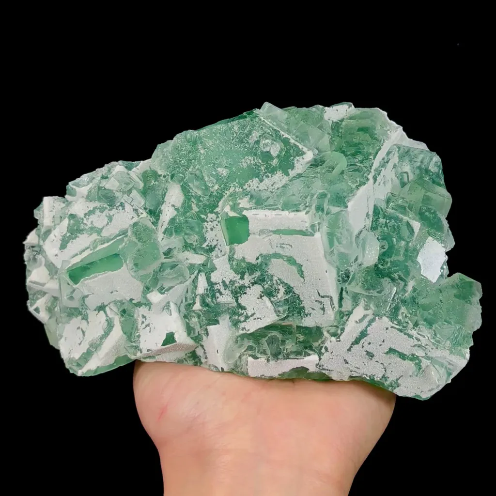 specimen video