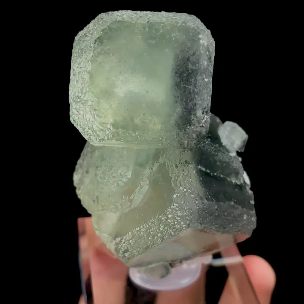 specimen video