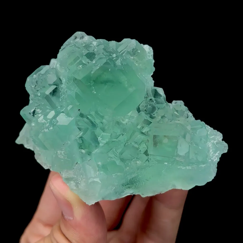 specimen video