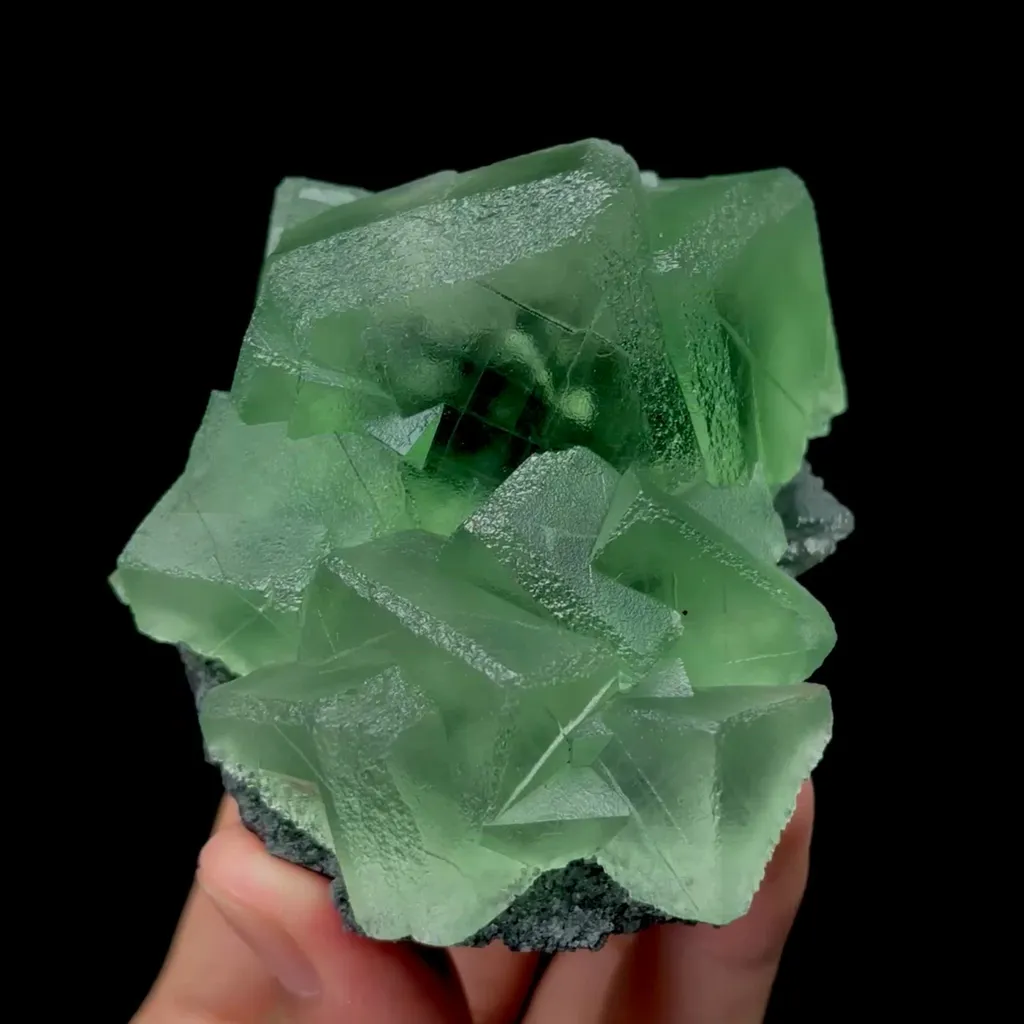 specimen video