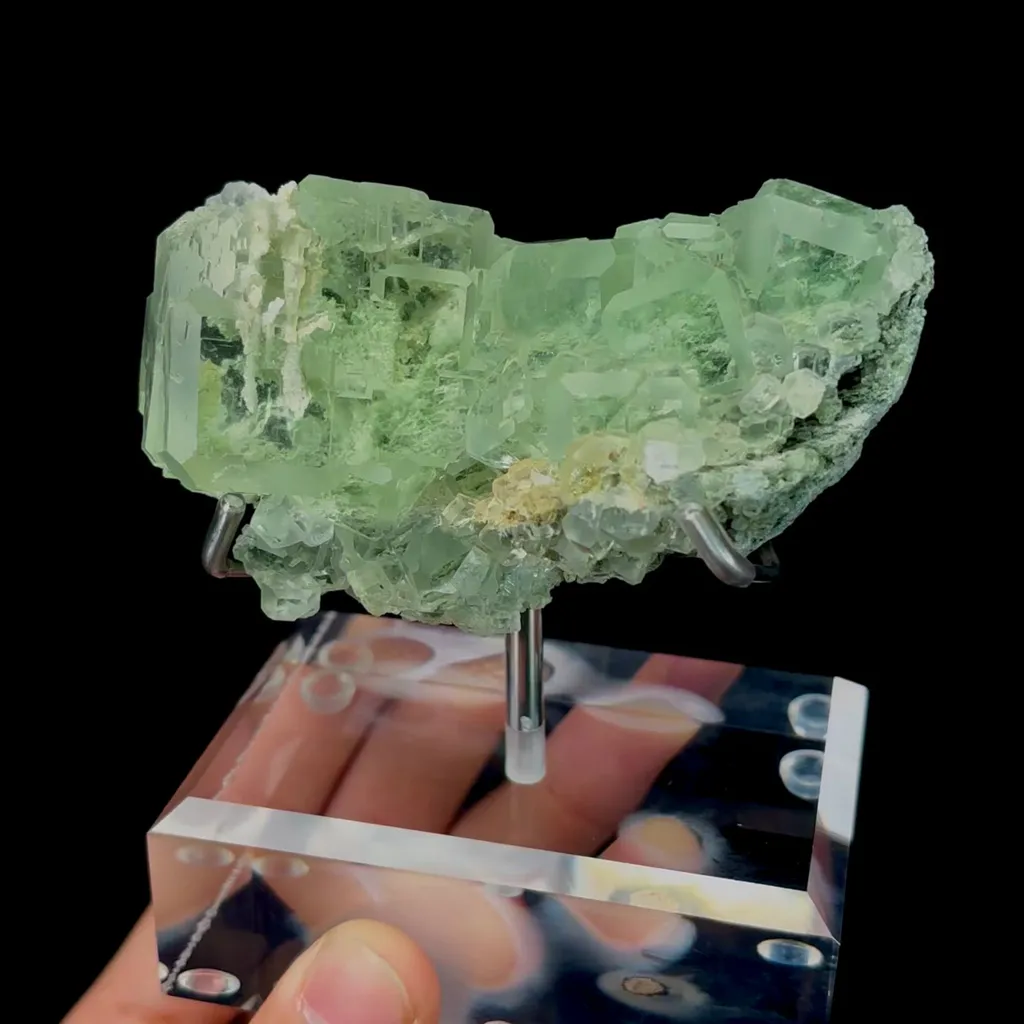 specimen video