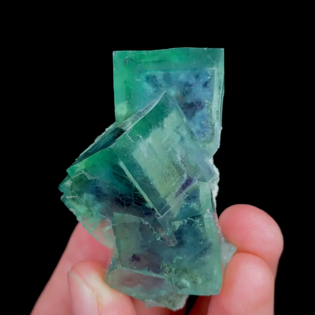 specimen video