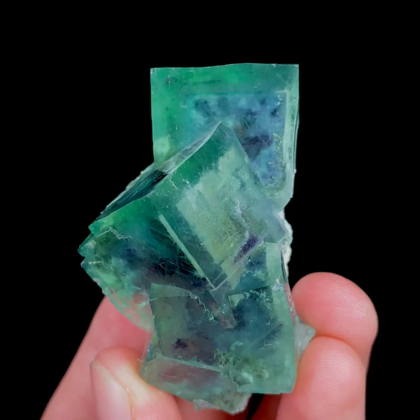 specimen video