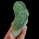 specimen video