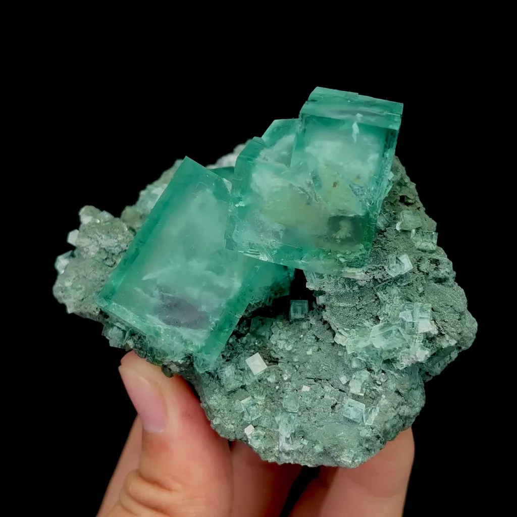 specimen video