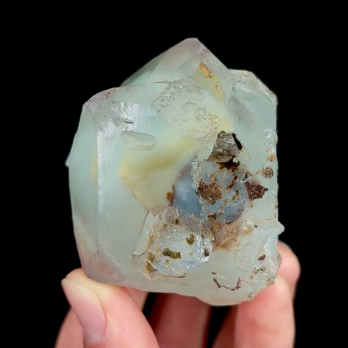 specimen video