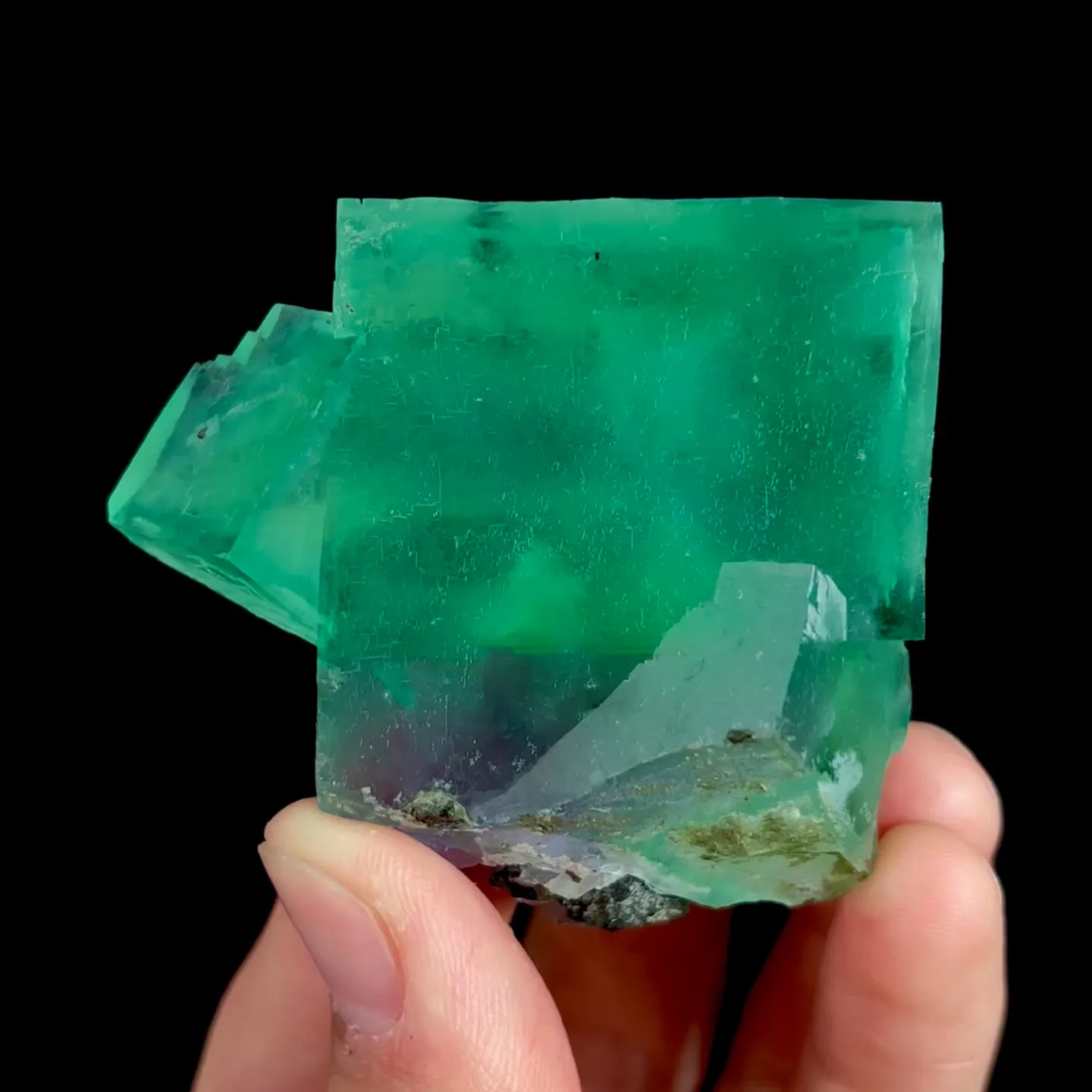 specimen video