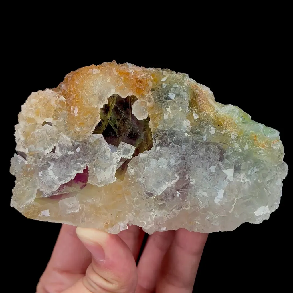 specimen video