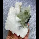 specimen video