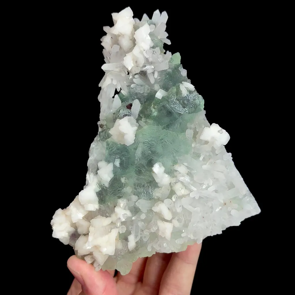 specimen video