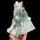 specimen video