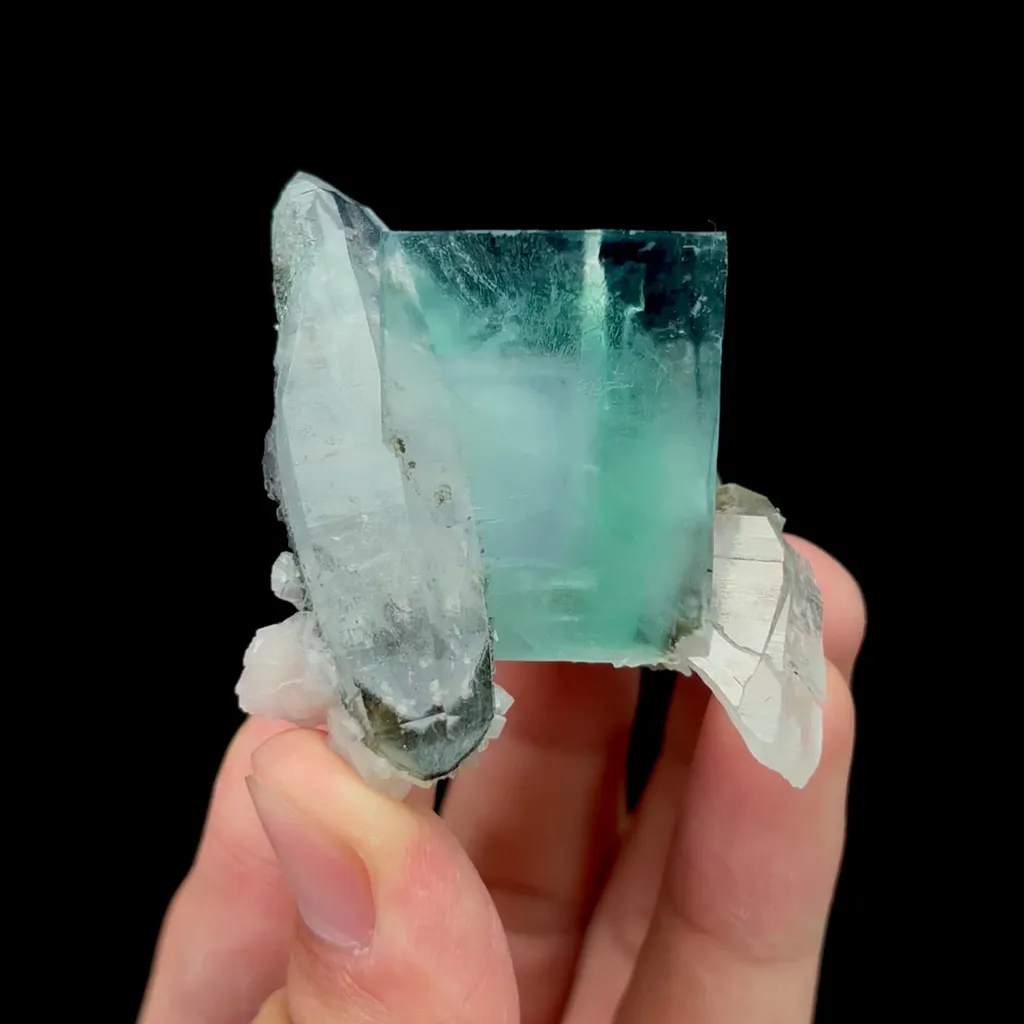 specimen video