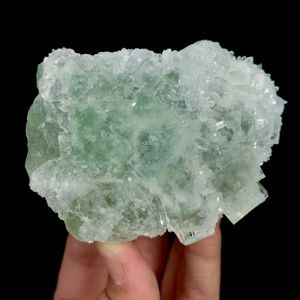 specimen video