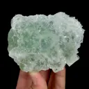 specimen video