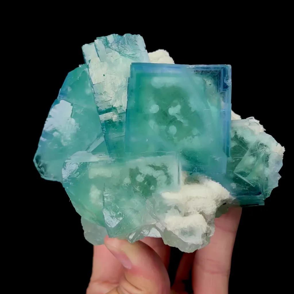 specimen video