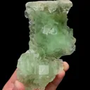 specimen video