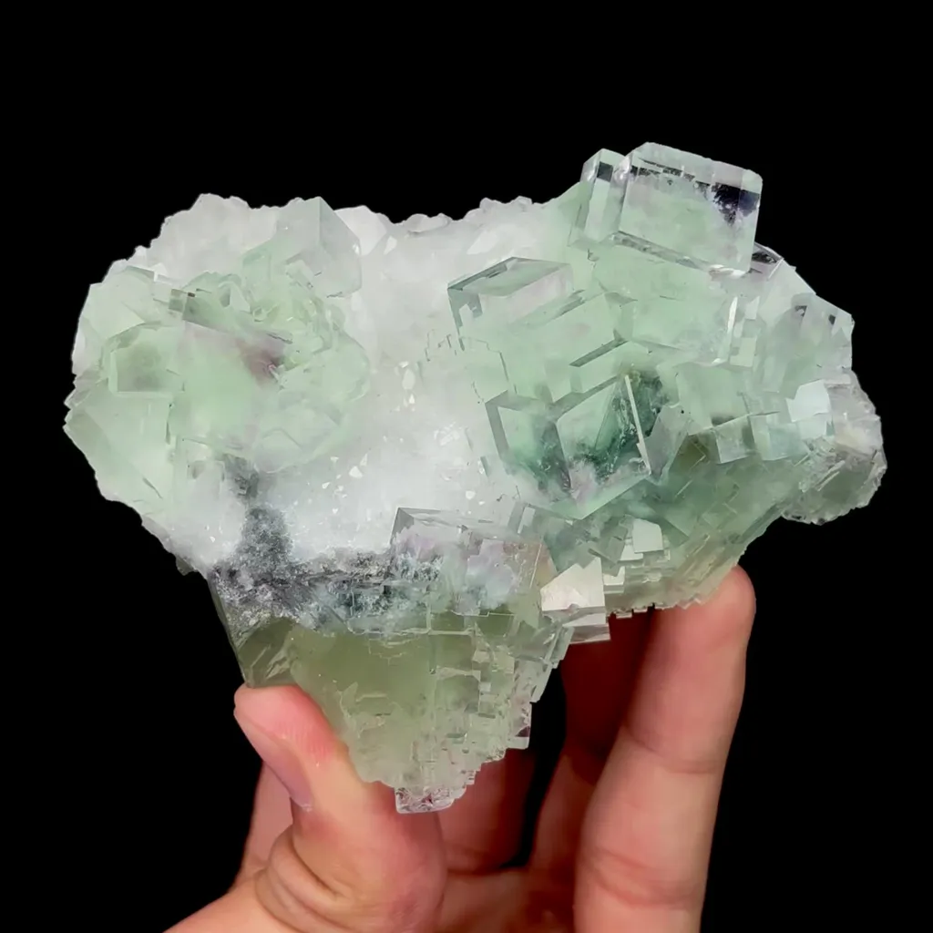 specimen video