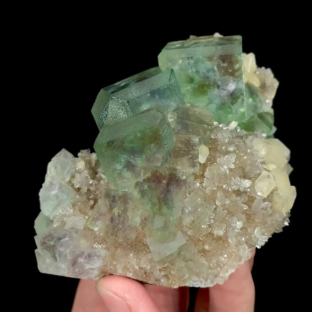specimen video