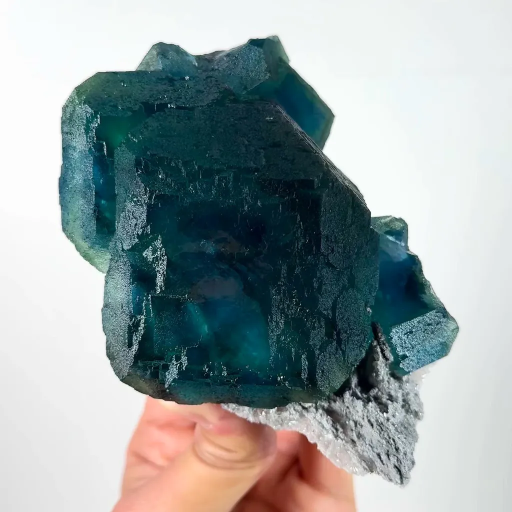 specimen video