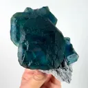 specimen video
