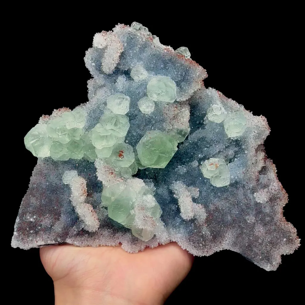 specimen video