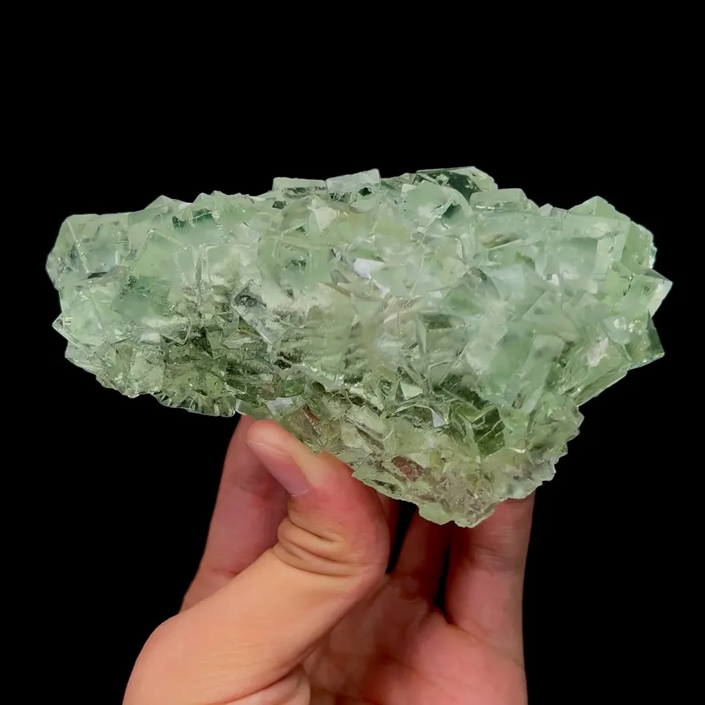 specimen video