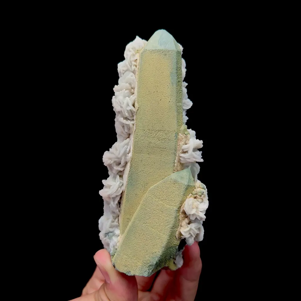 specimen video