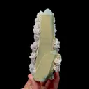 specimen video