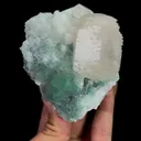 specimen video