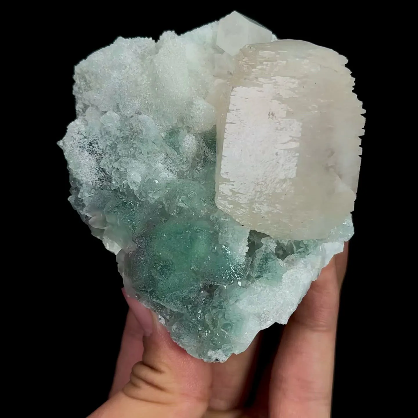 specimen video