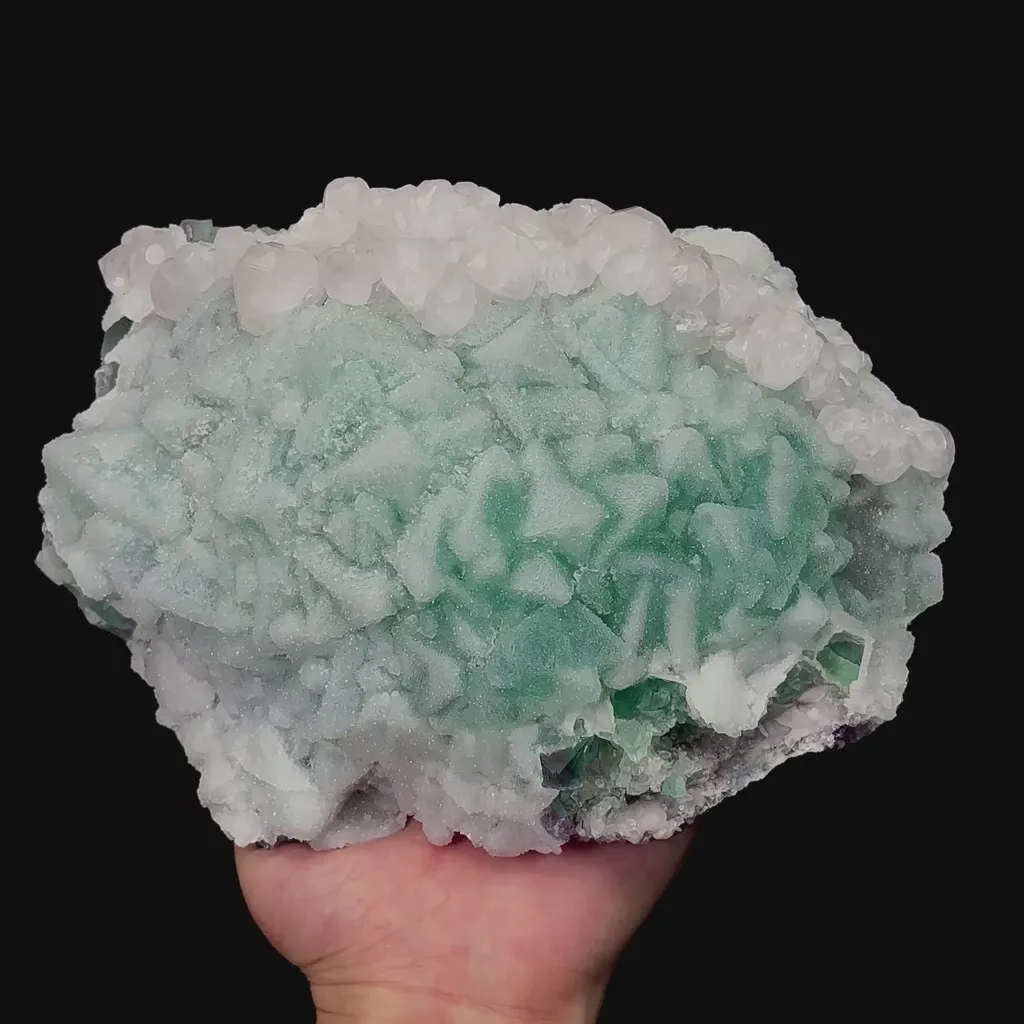 specimen video