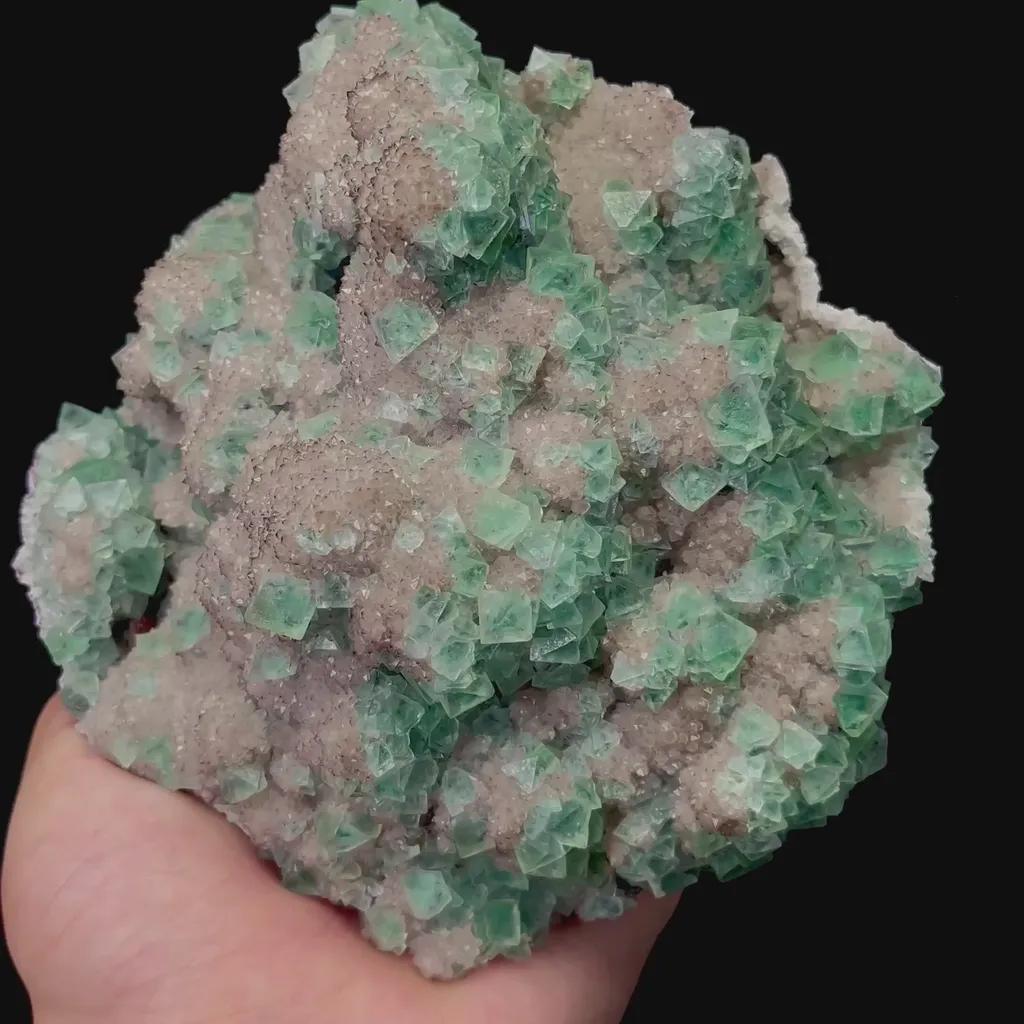 specimen video