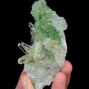 specimen video